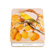 Vista Alegre Amazonia Card Box
