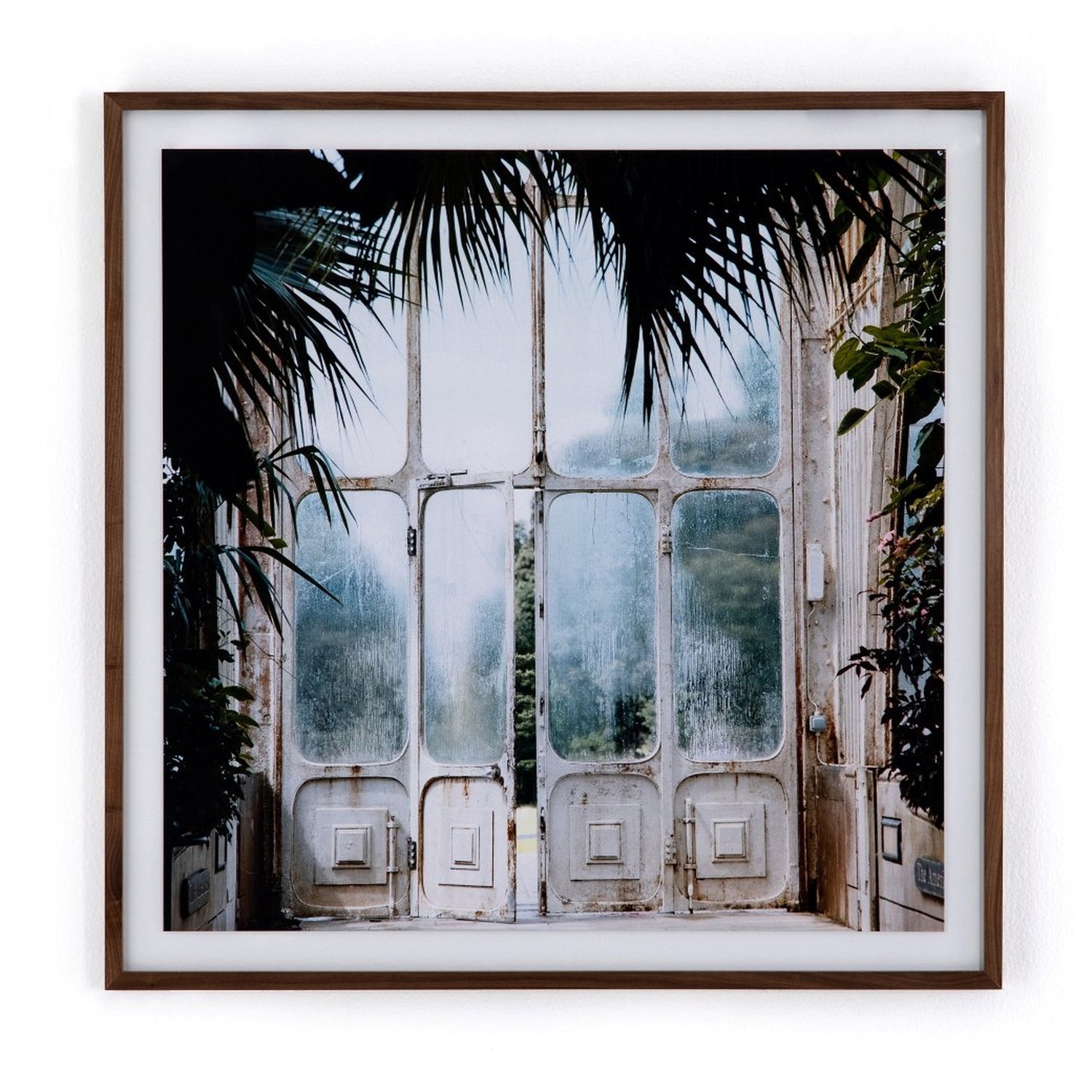 Greenhouse II by Annie Spratt