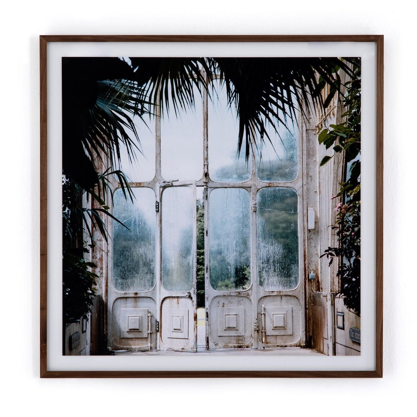 Greenhouse II by Annie Spratt