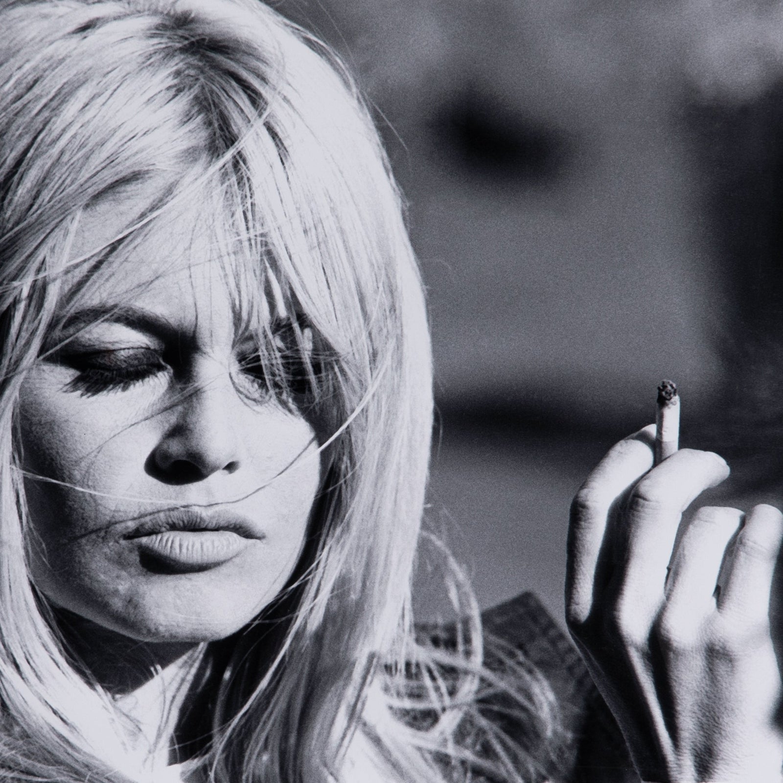 Brigitte Bardot by Getty Images