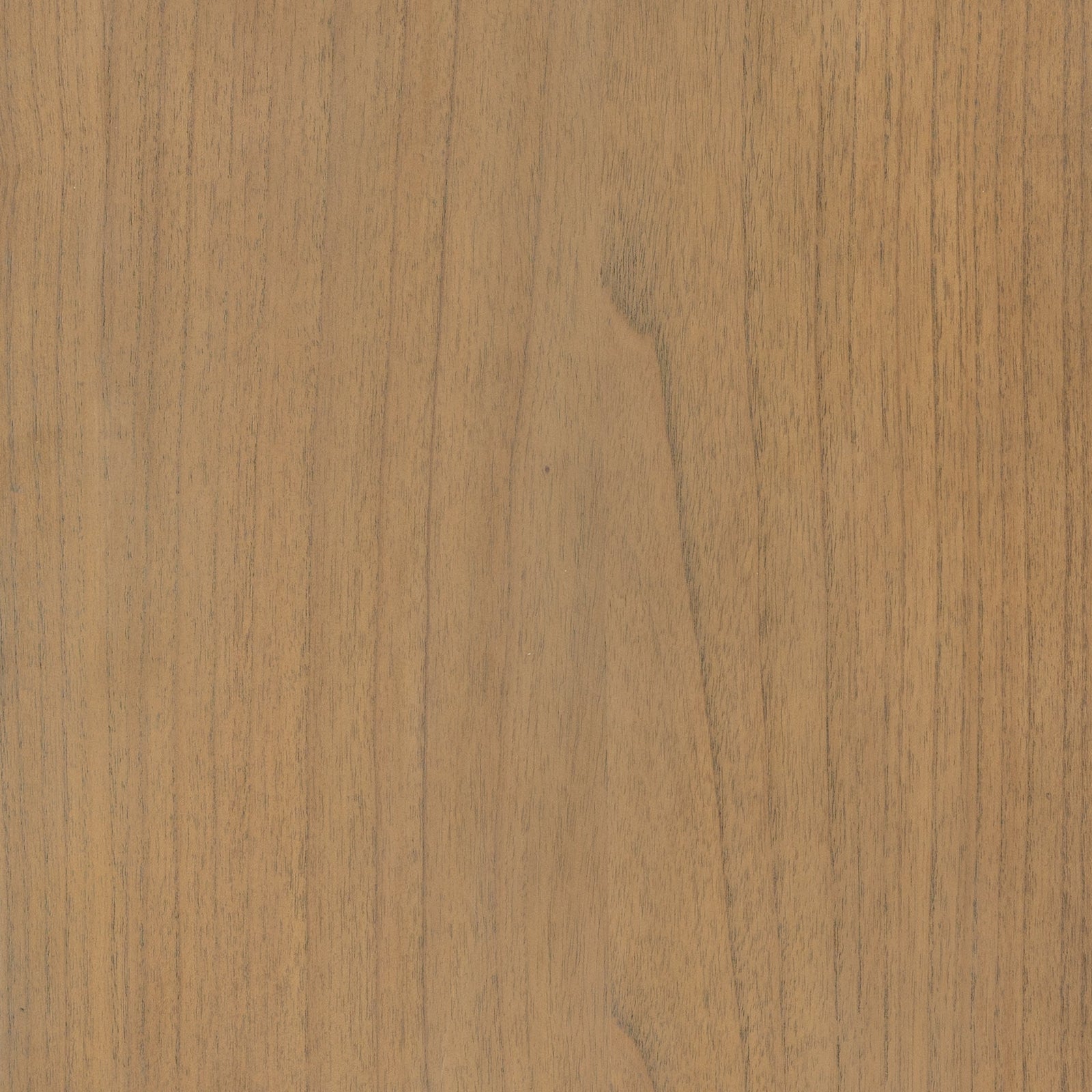 Ilana Cabinet