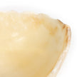 Onyx Bowl