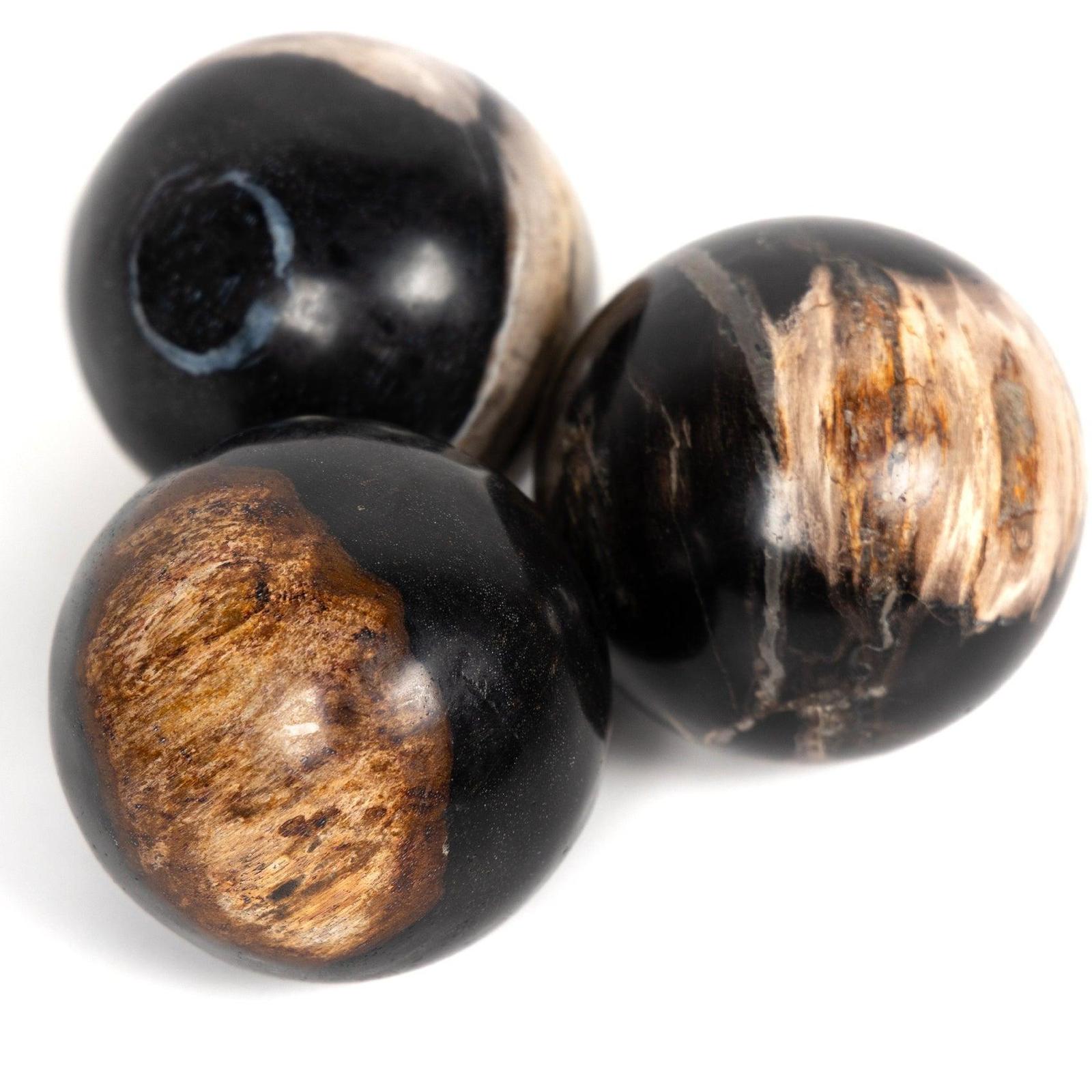 Petrified Wood Balls - Set of 3