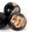 Petrified Wood Balls - Set of 3