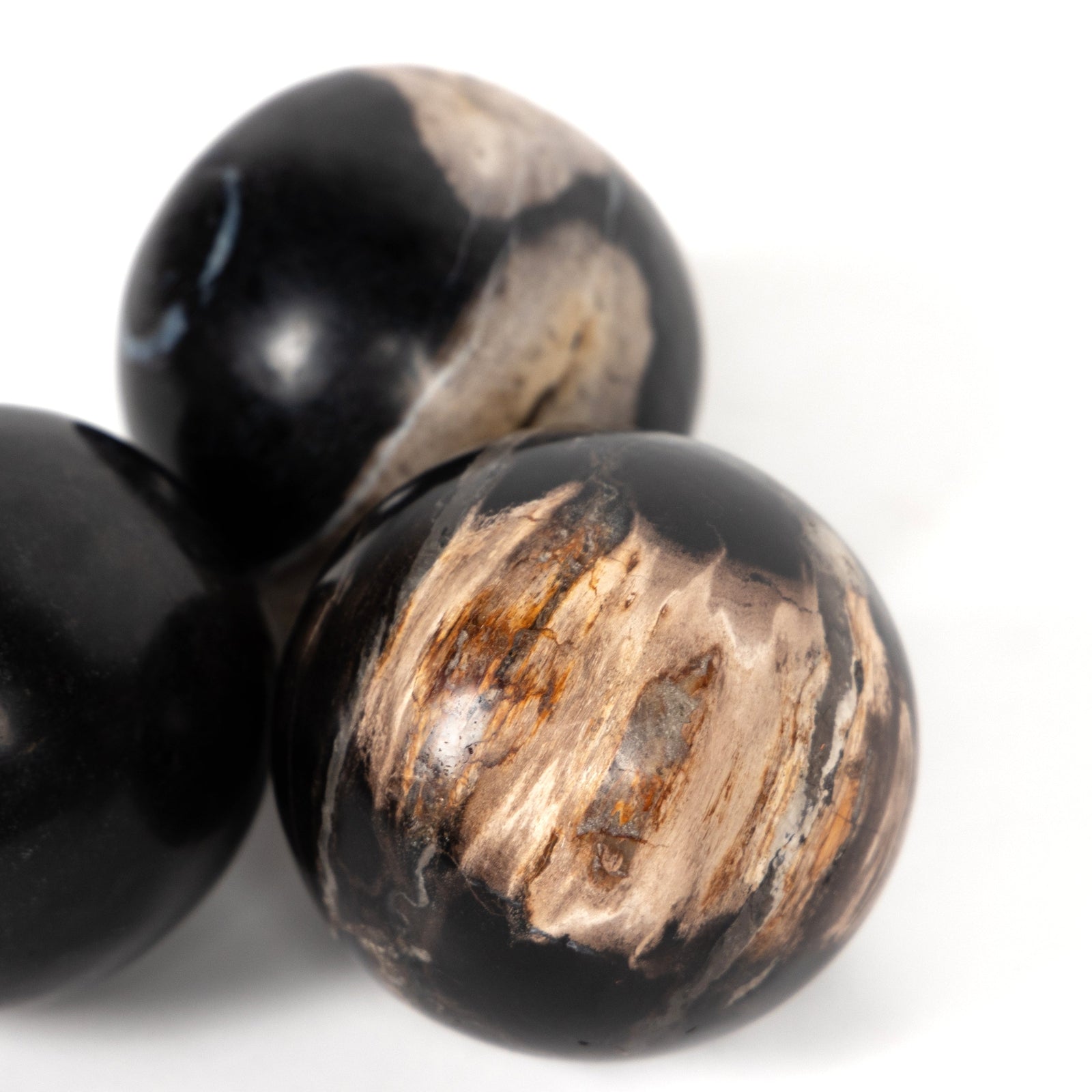 Petrified Wood Balls - Set of 3