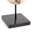 Organic Stone Sculptures - Set of 3