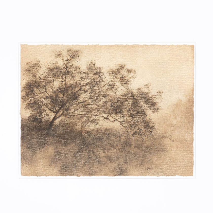 Hillside Haze by Aileen Fitzgerald