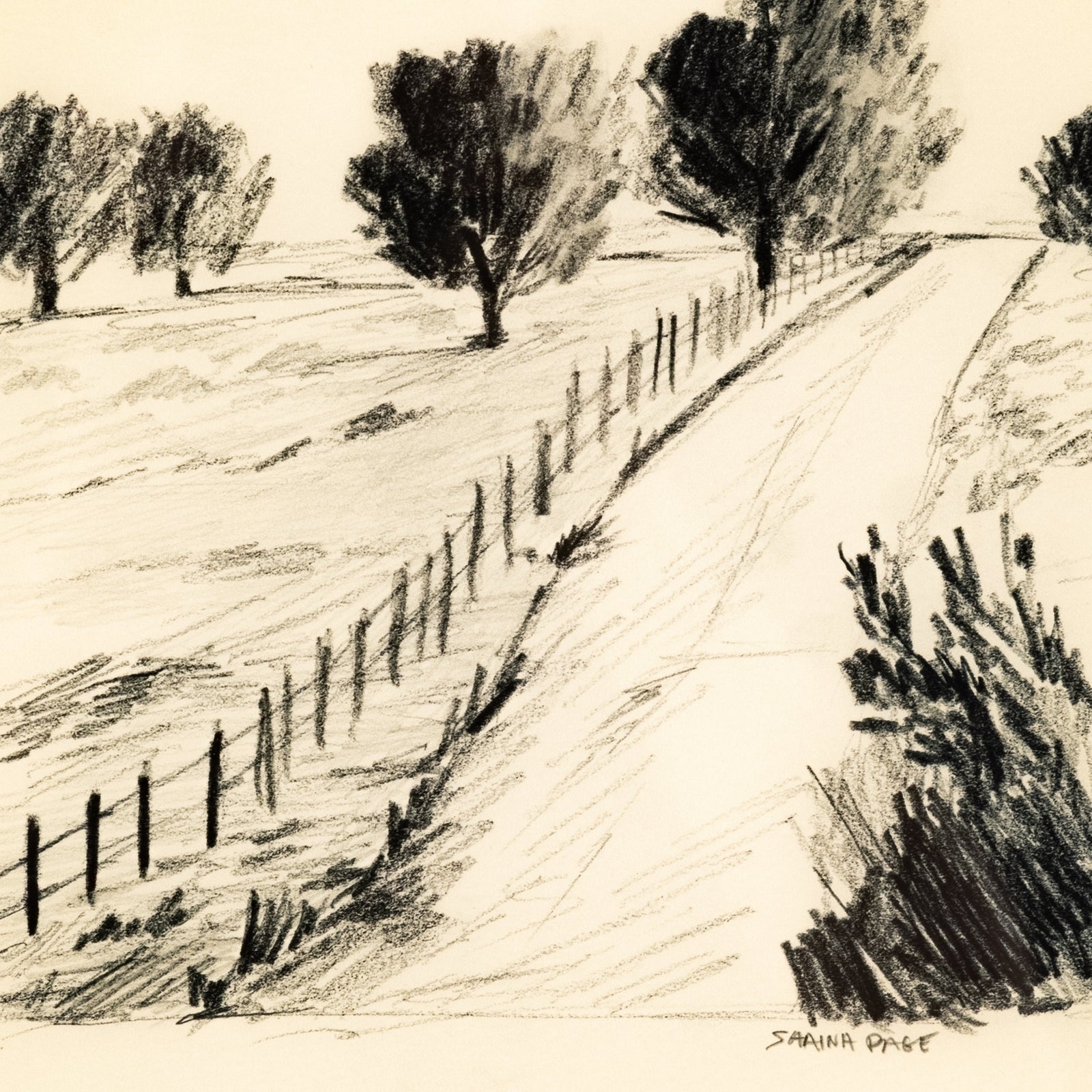 Serene III by Shaina Page