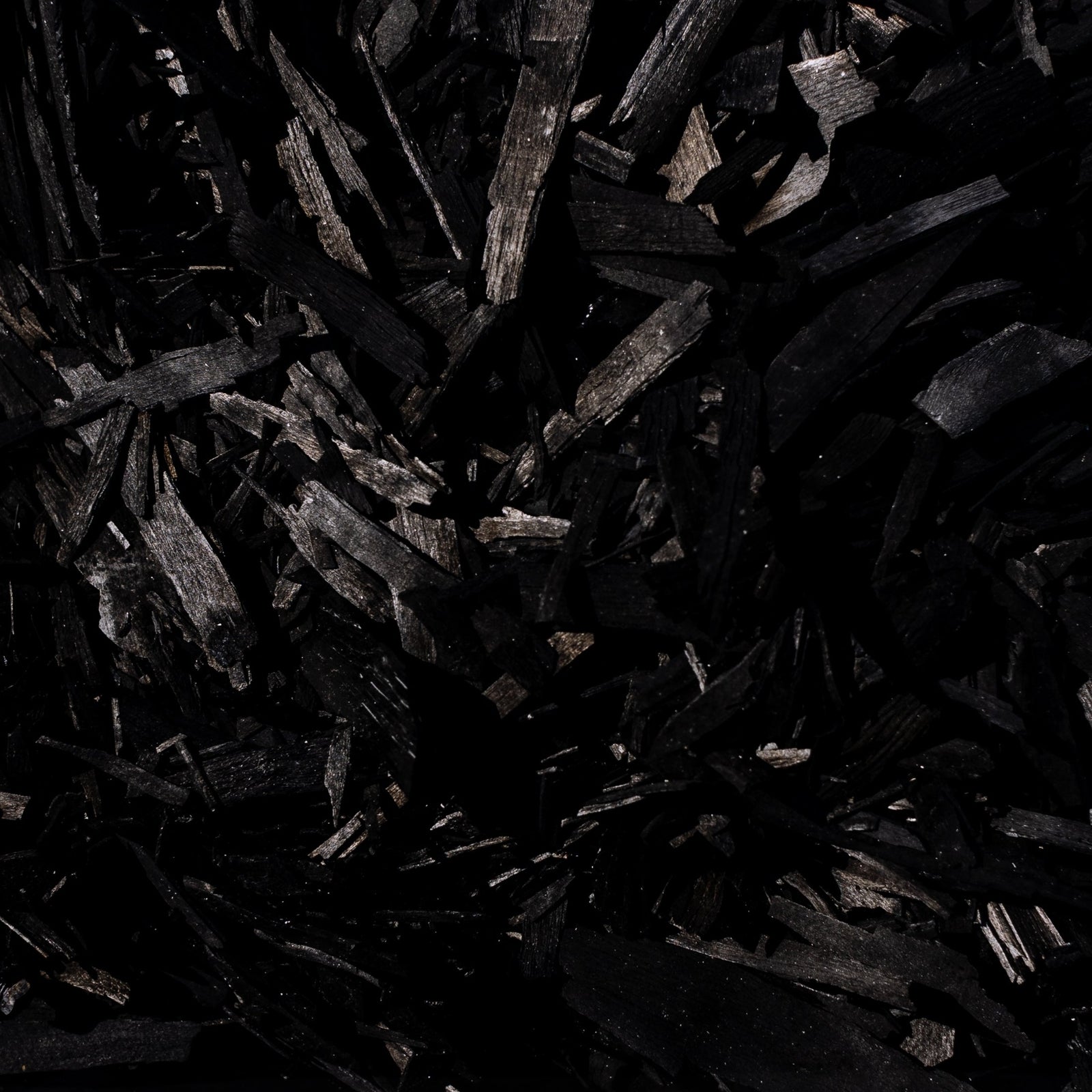 Char III by FH Art Studio