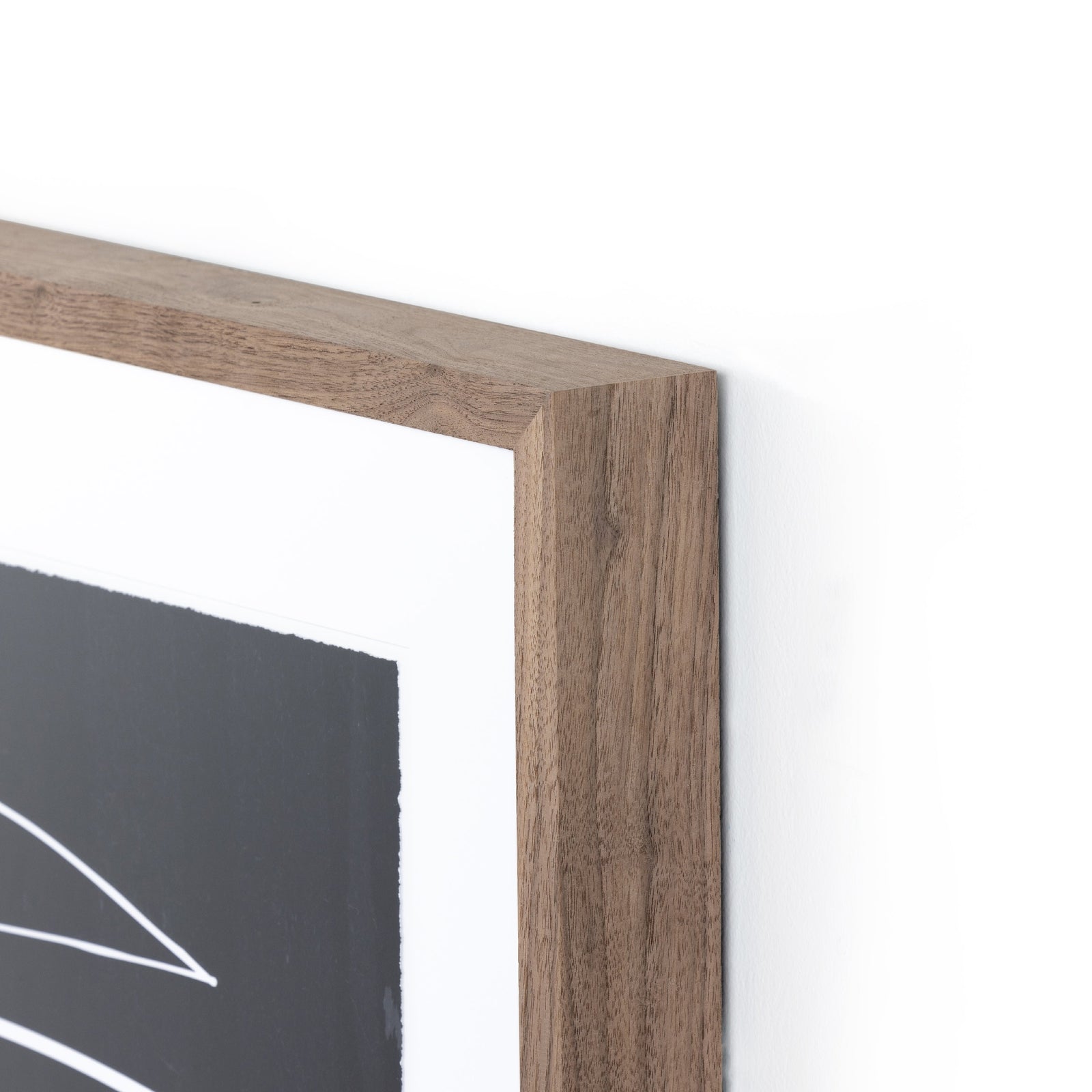 Abstract Botanic Line Drawing I