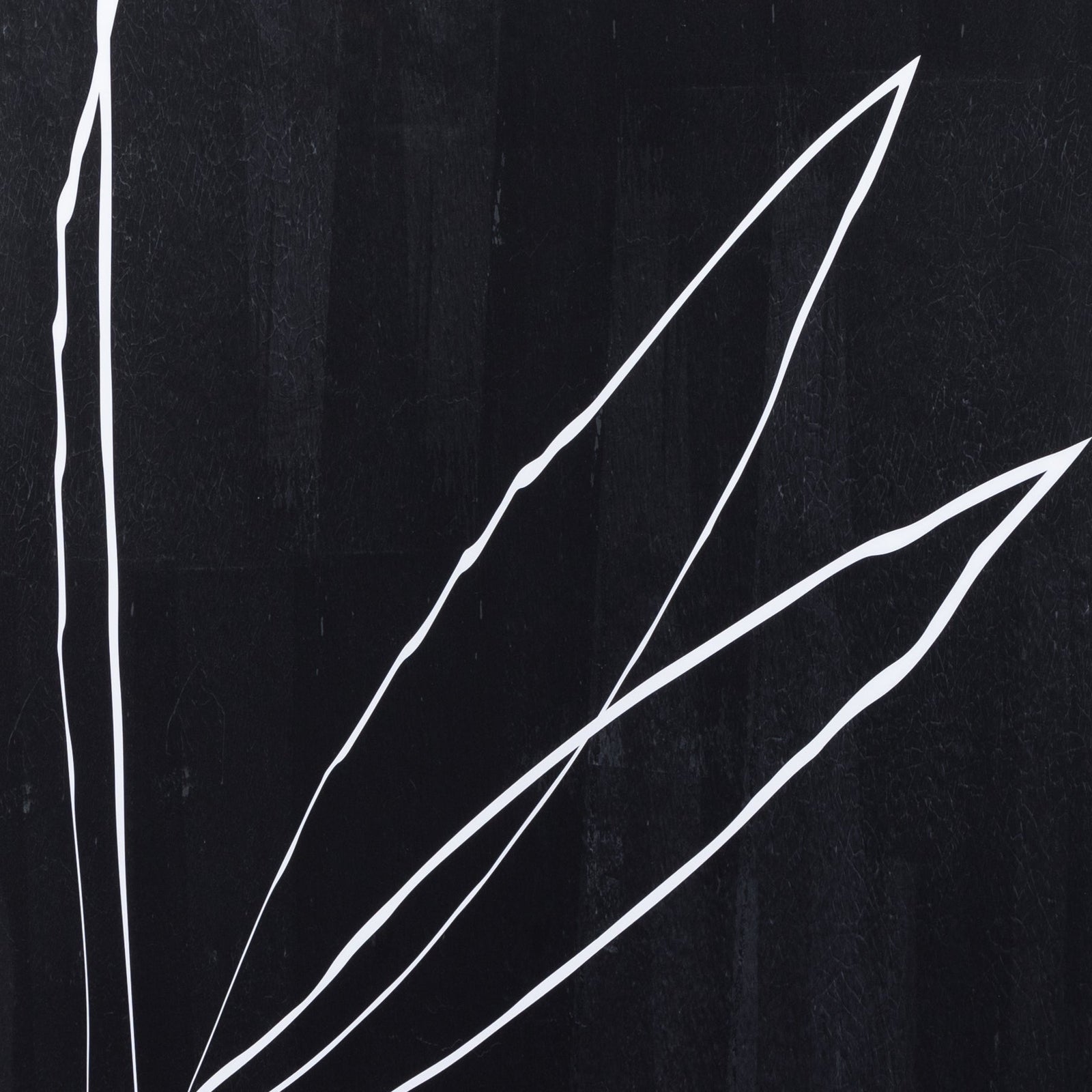 Abstract Botanic Line Drawing I