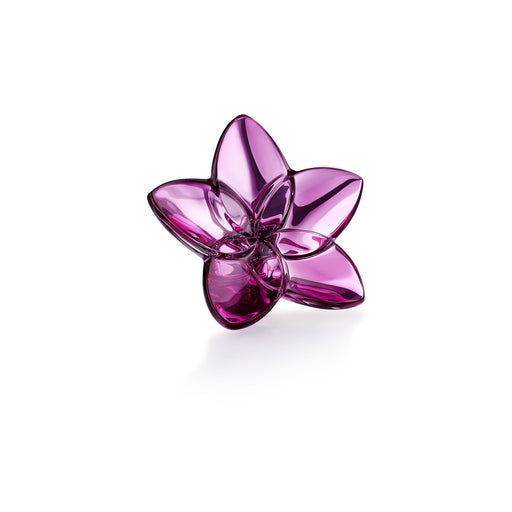 Baccarat The Bloom Collection