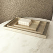 Global Views Champagne Silver Leaf Rectangle Tray