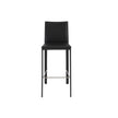 Euro Style Hasina Bar Stool - Set of 2