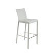 Euro Style Hasina Bar Stool - Set of 2