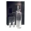 Vista Alegre Artic Case with Vodka Decanter and 4 Shots By Stephen Jones