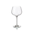 Vista Alegre Aroma Water Goblets - Set of 4