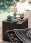 Lladro Astrophytum Cactus Diffuser