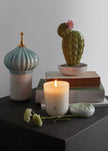 Lladro Opuntia Cactus Diffuser