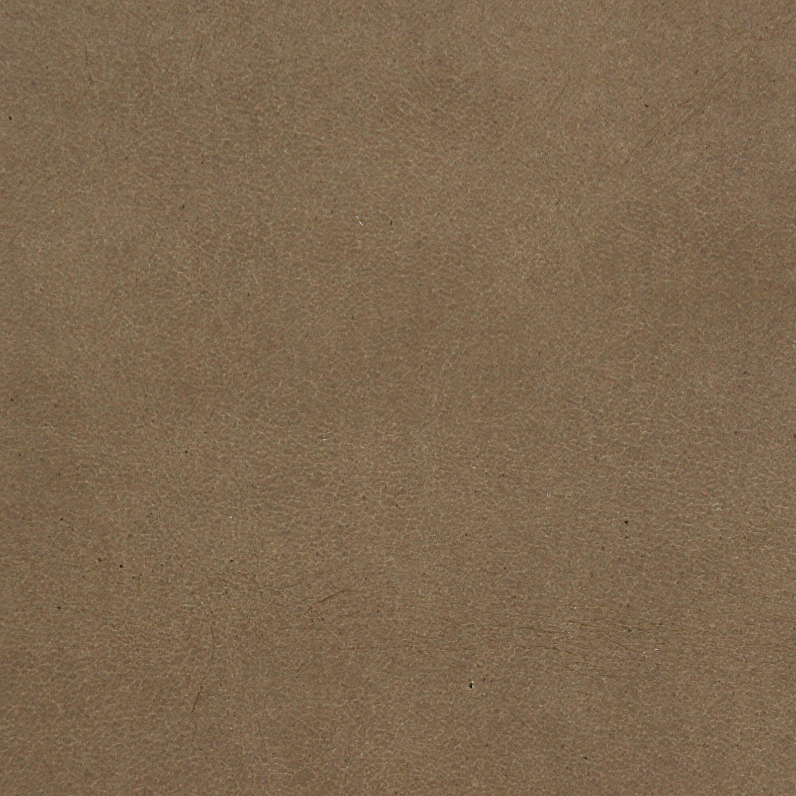 Caracole Classic Take Your Seat Dining Chair DSC