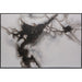 Sunpan Smoke Screen - Black Floater Frame