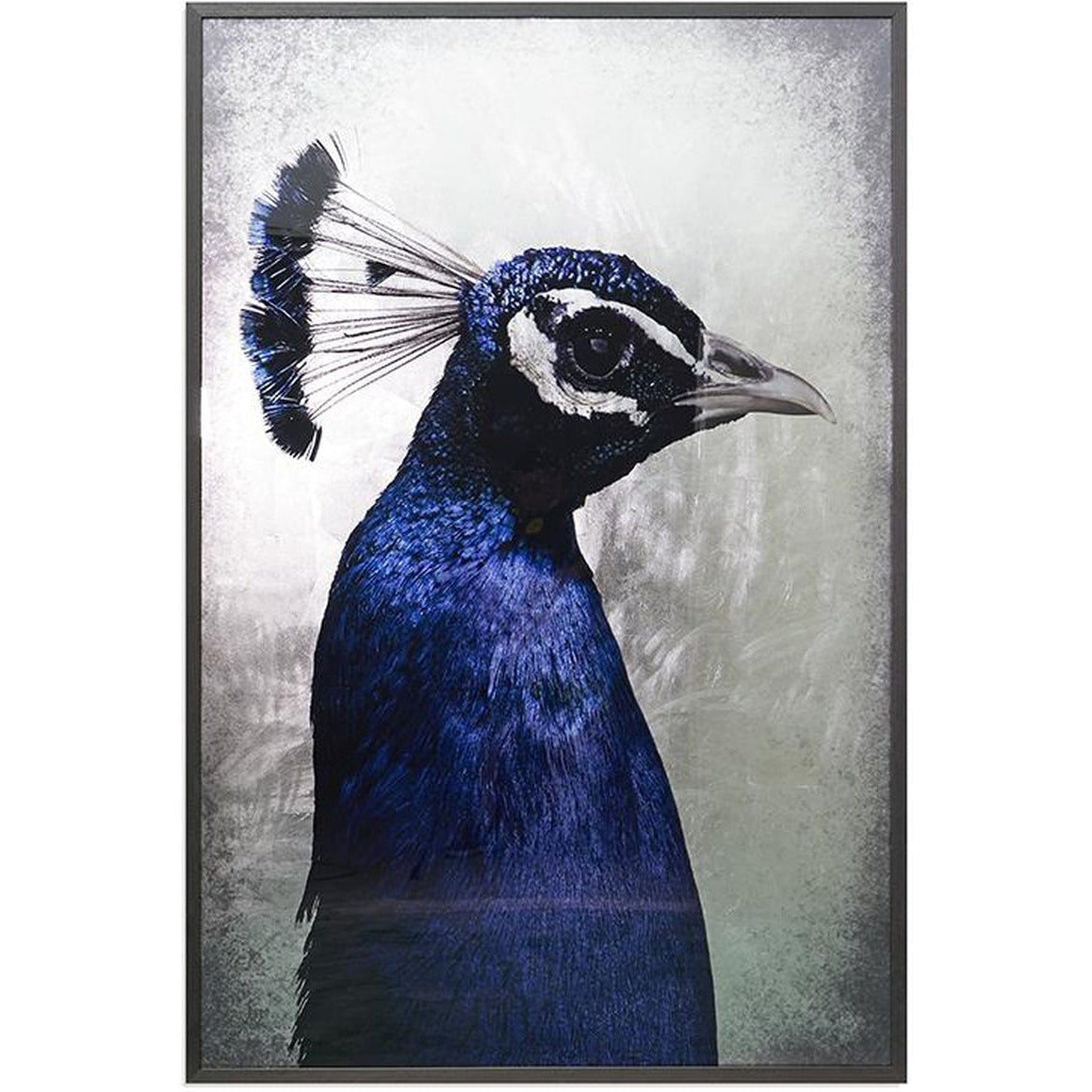 Sunpan The Peacock - 48" X 72" - Charcoal Frame