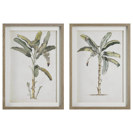Uttermost Banana Palm Framed Prints - Set of 2
