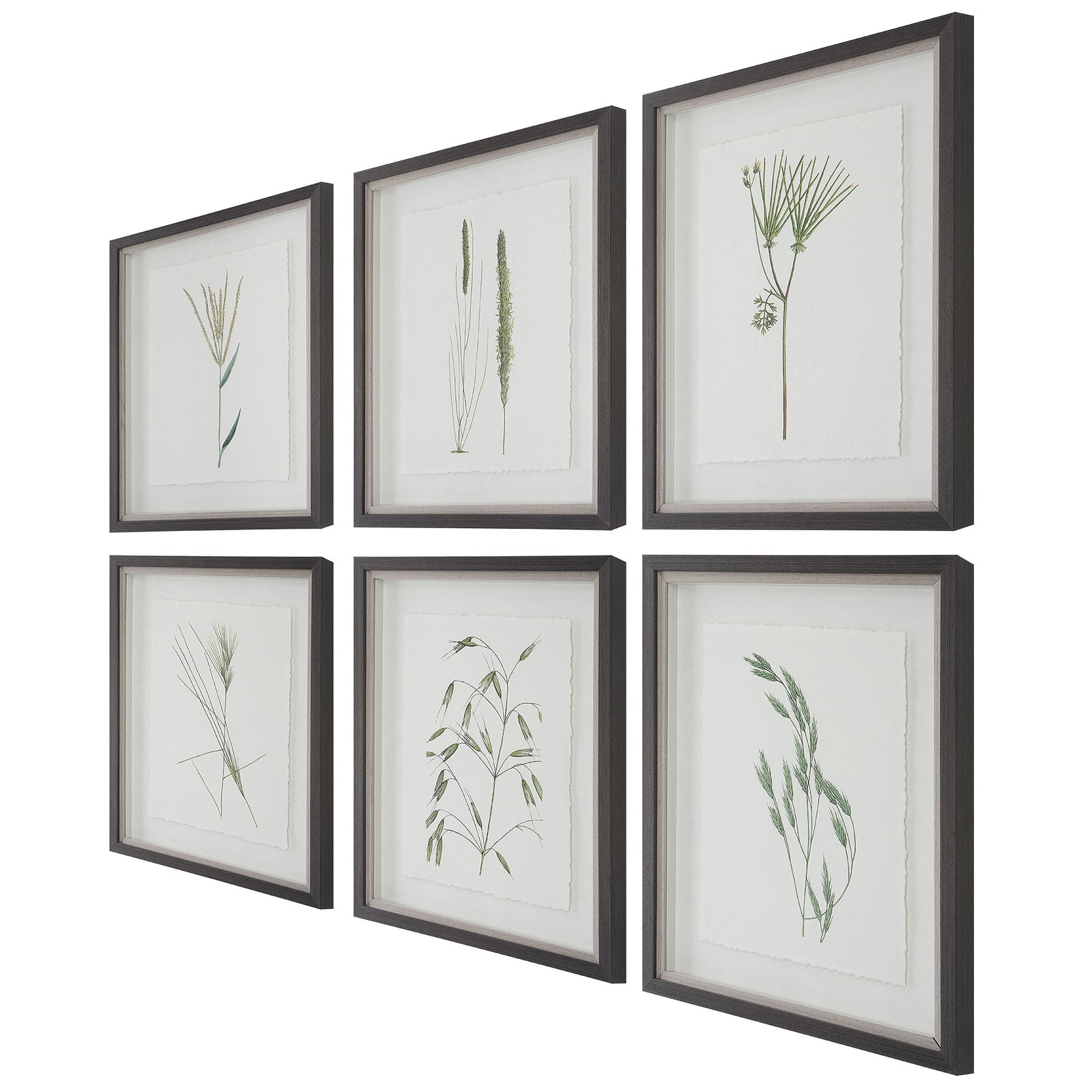Uttermost Forest Finds Framed Prints - Set of 6