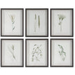 Uttermost Forest Finds Framed Prints - Set of 6