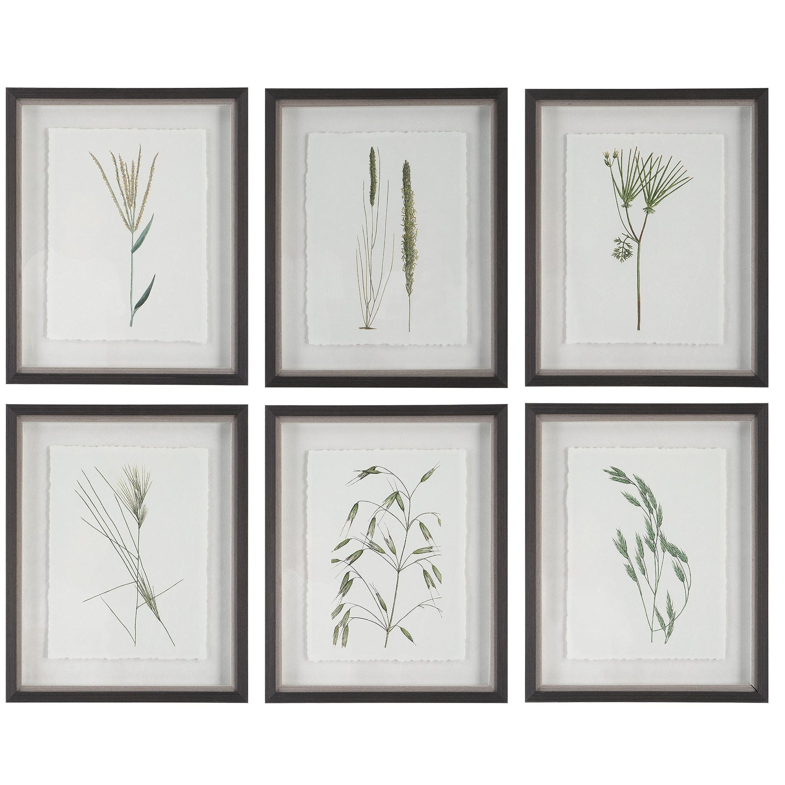 Uttermost Forest Finds Framed Prints - Set of 6