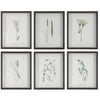 Uttermost Forest Finds Framed Prints - Set of 6