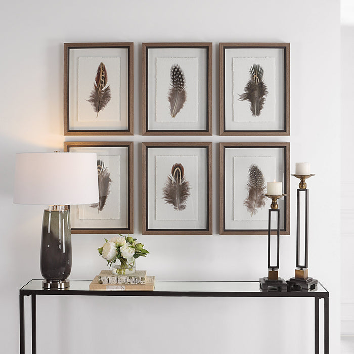 Uttermost Birds Of A Feather Framed Prints - Set of 6