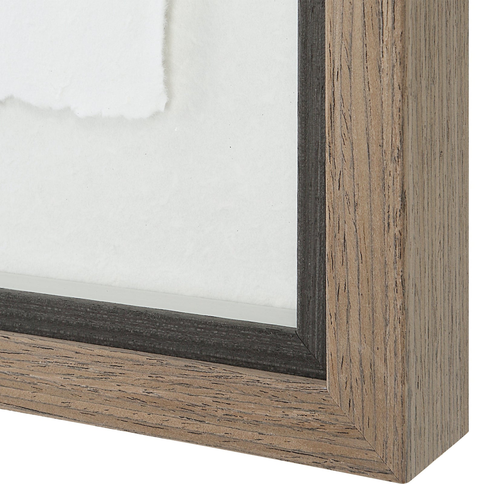 Uttermost Birds Of A Feather Framed Prints - Set of 6