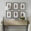 Uttermost Birds Of A Feather Framed Prints - Set of 6