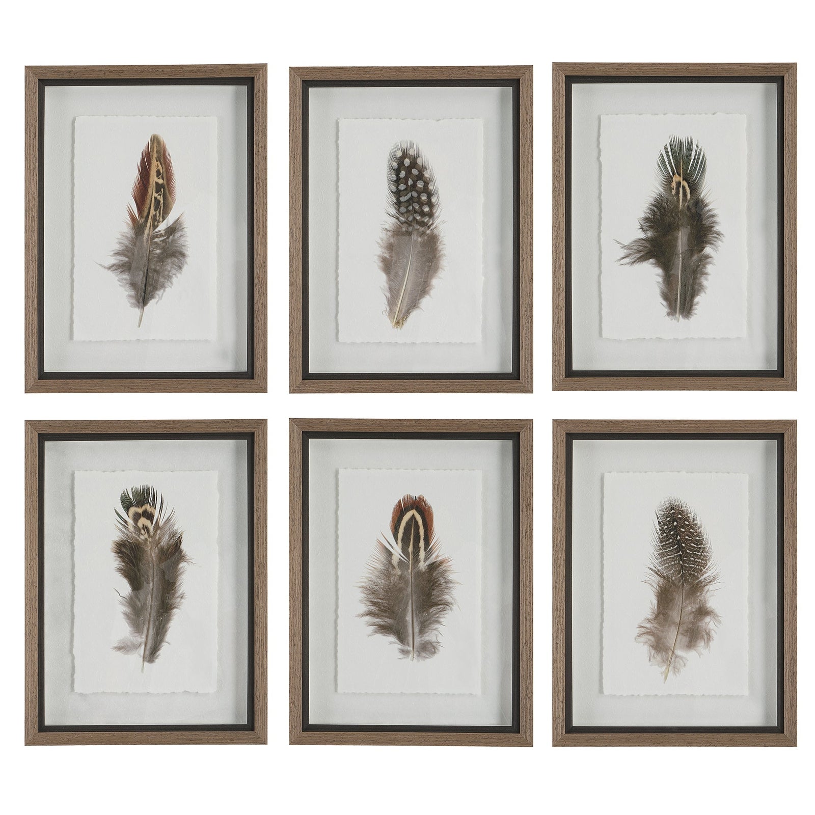 Uttermost Birds Of A Feather Framed Prints - Set of 6