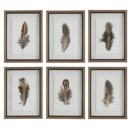 Uttermost Birds Of A Feather Framed Prints - Set of 6