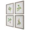 Uttermost Wildflower Study Framed Prints - Set of 4