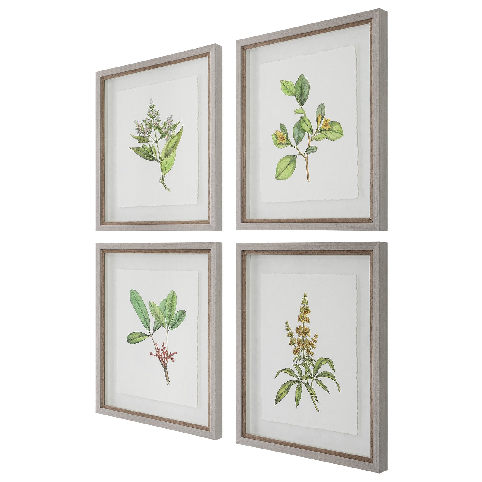 Uttermost Wildflower Study Framed Prints - Set of 4