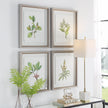 Uttermost Wildflower Study Framed Prints - Set of 4