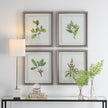 Uttermost Wildflower Study Framed Prints - Set of 4
