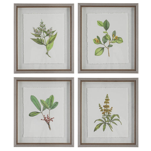 Uttermost Wildflower Study Framed Prints - Set of 4