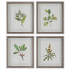 Uttermost Wildflower Study Framed Prints - Set of 4