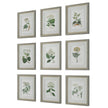 Uttermost Antique Botanicals Framed Prints - Set of 9