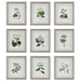 Uttermost Antique Botanicals Framed Prints - Set of 9