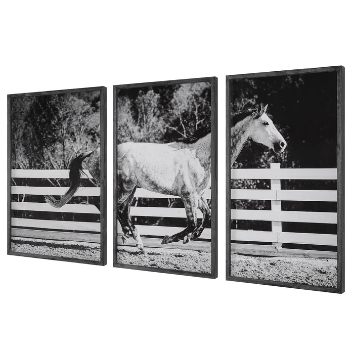 Uttermost Galloping Forward Equine Prints - Set of 3