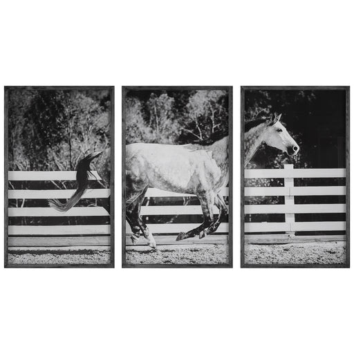 Uttermost Galloping Forward Equine Prints - Set of 3