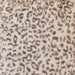 Michael Amini 626 Snow Leopard 20" Square Pillow