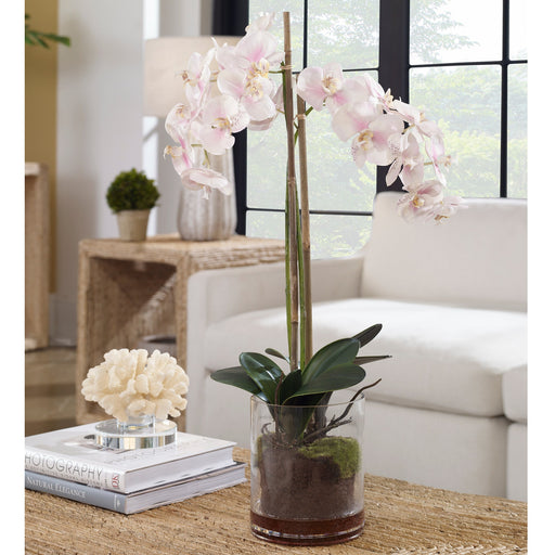 Uttermost Blush Pink And White Orchid