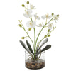 Uttermost Glory Orchid