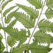 Uttermost Country Ferns - Set of 2